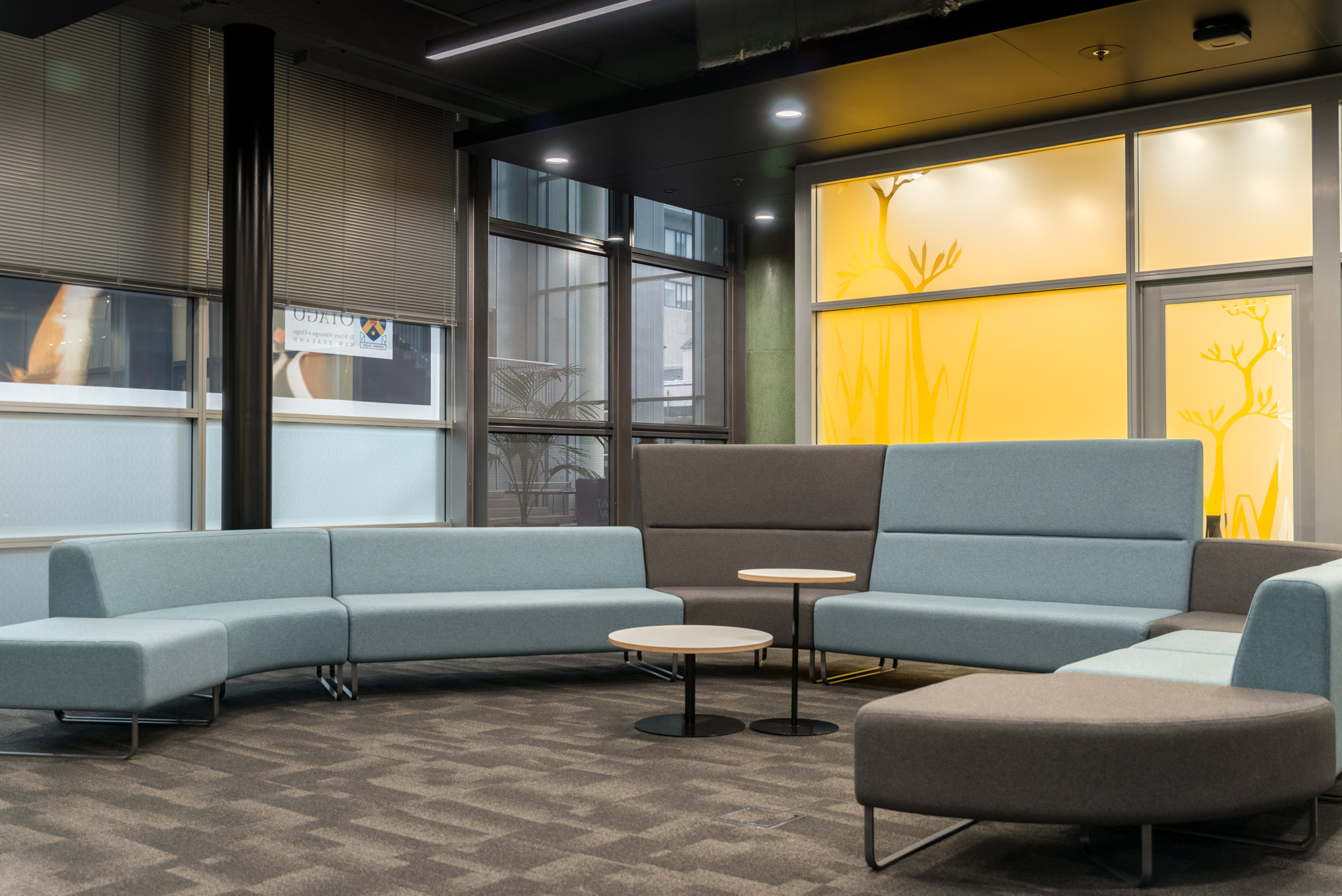 Education design dunedin