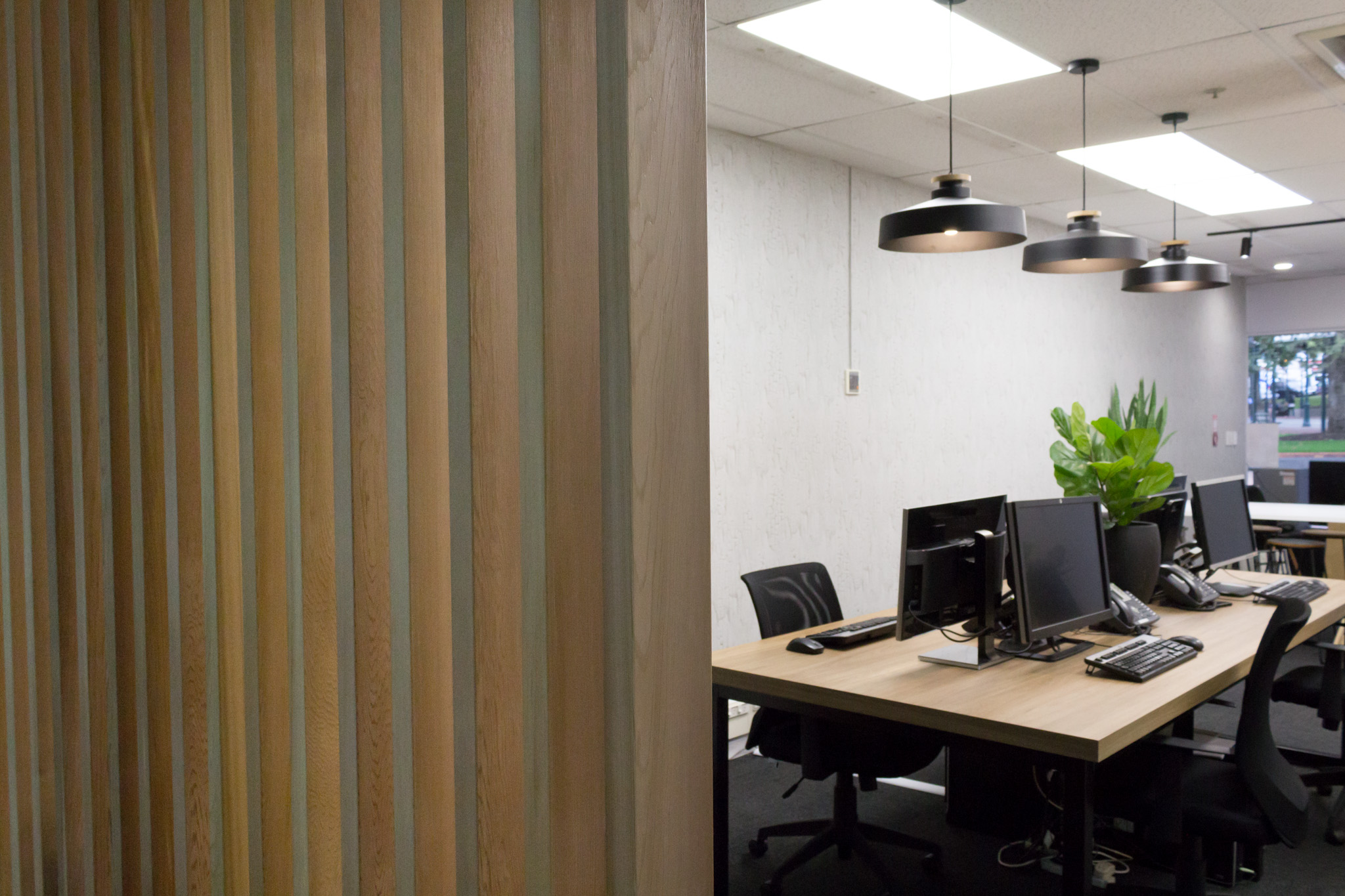 wooden partition wall commercial interior design miller creative dunedin