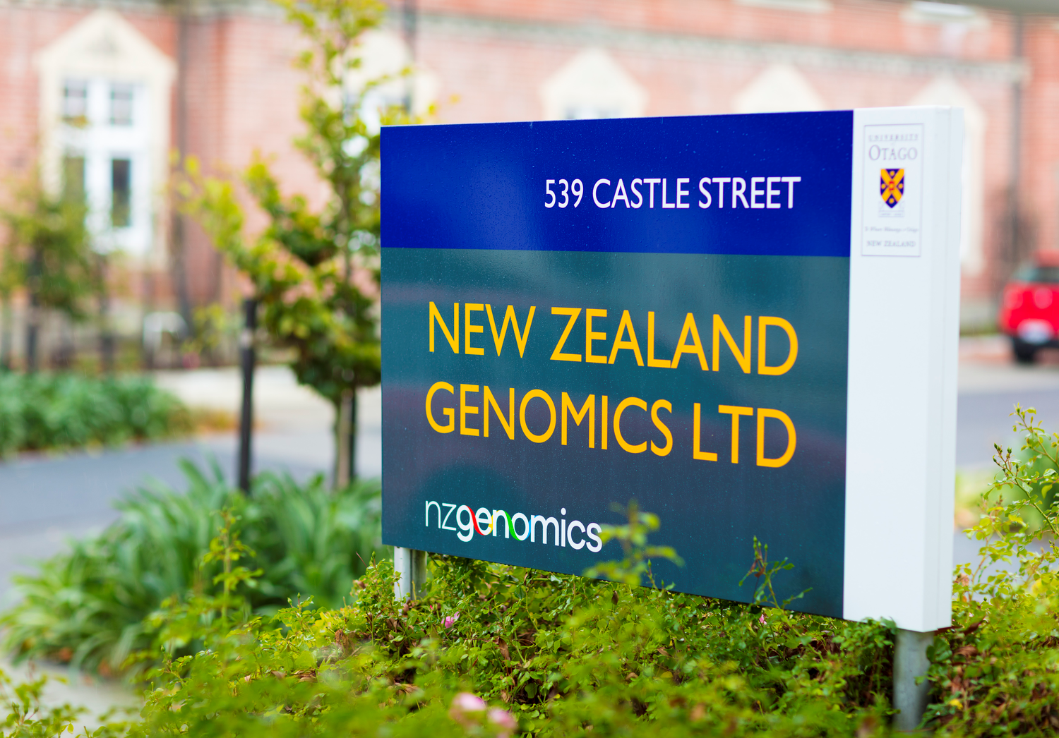 signs dunedin brand identity signwriters corporate identity