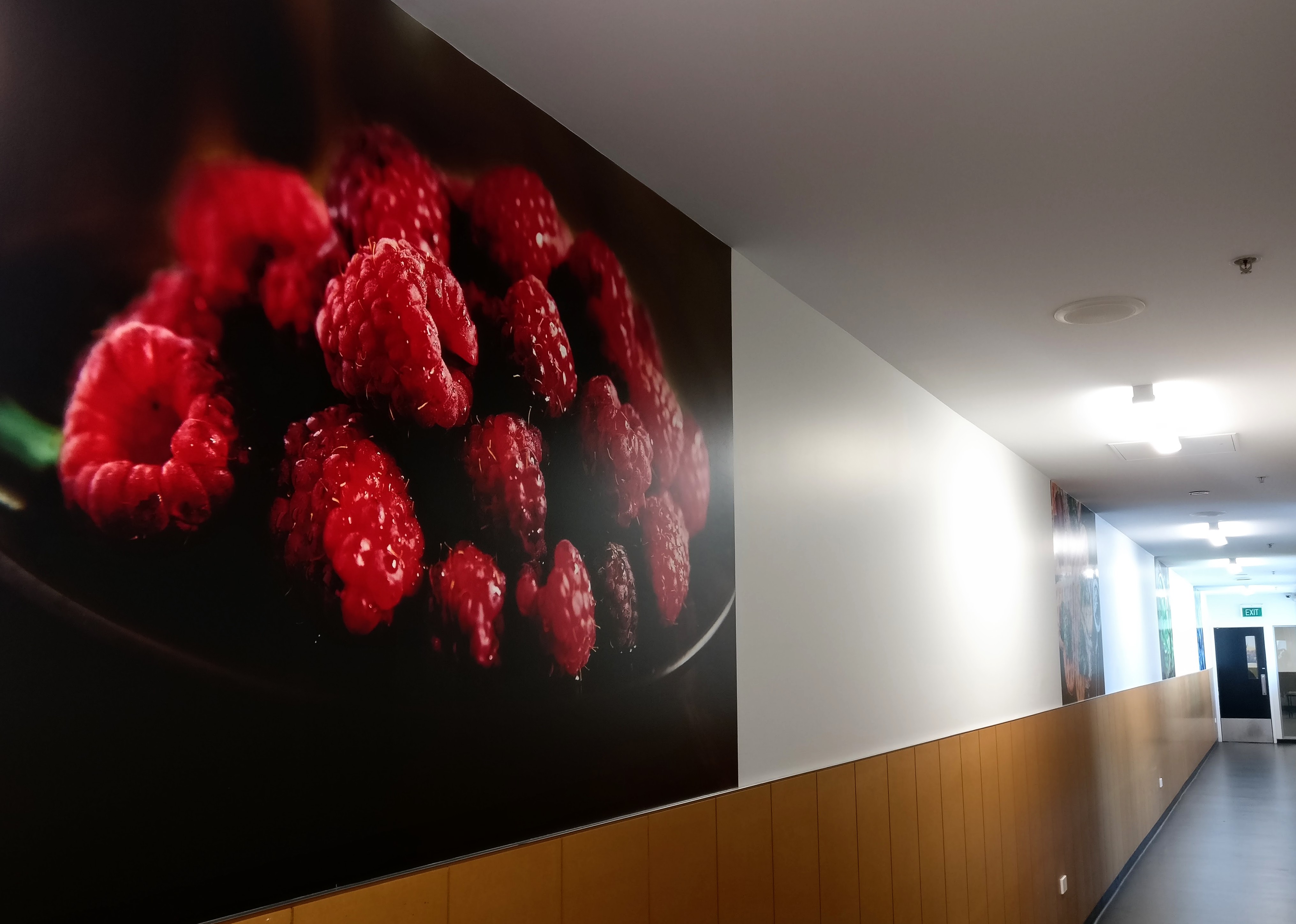 commercial office design interior design.jpg