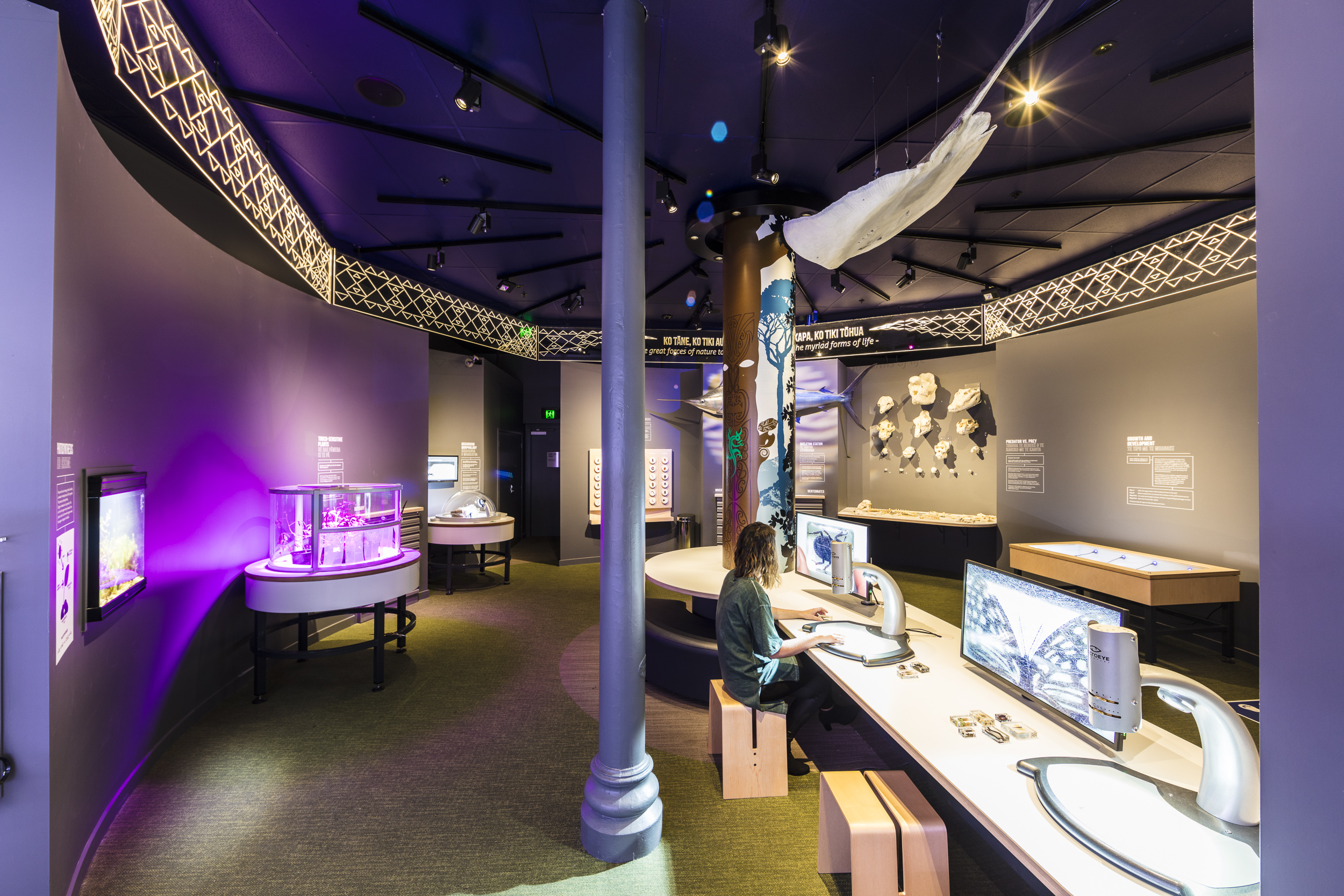 dunedin signwriters LED edge lit acrylic