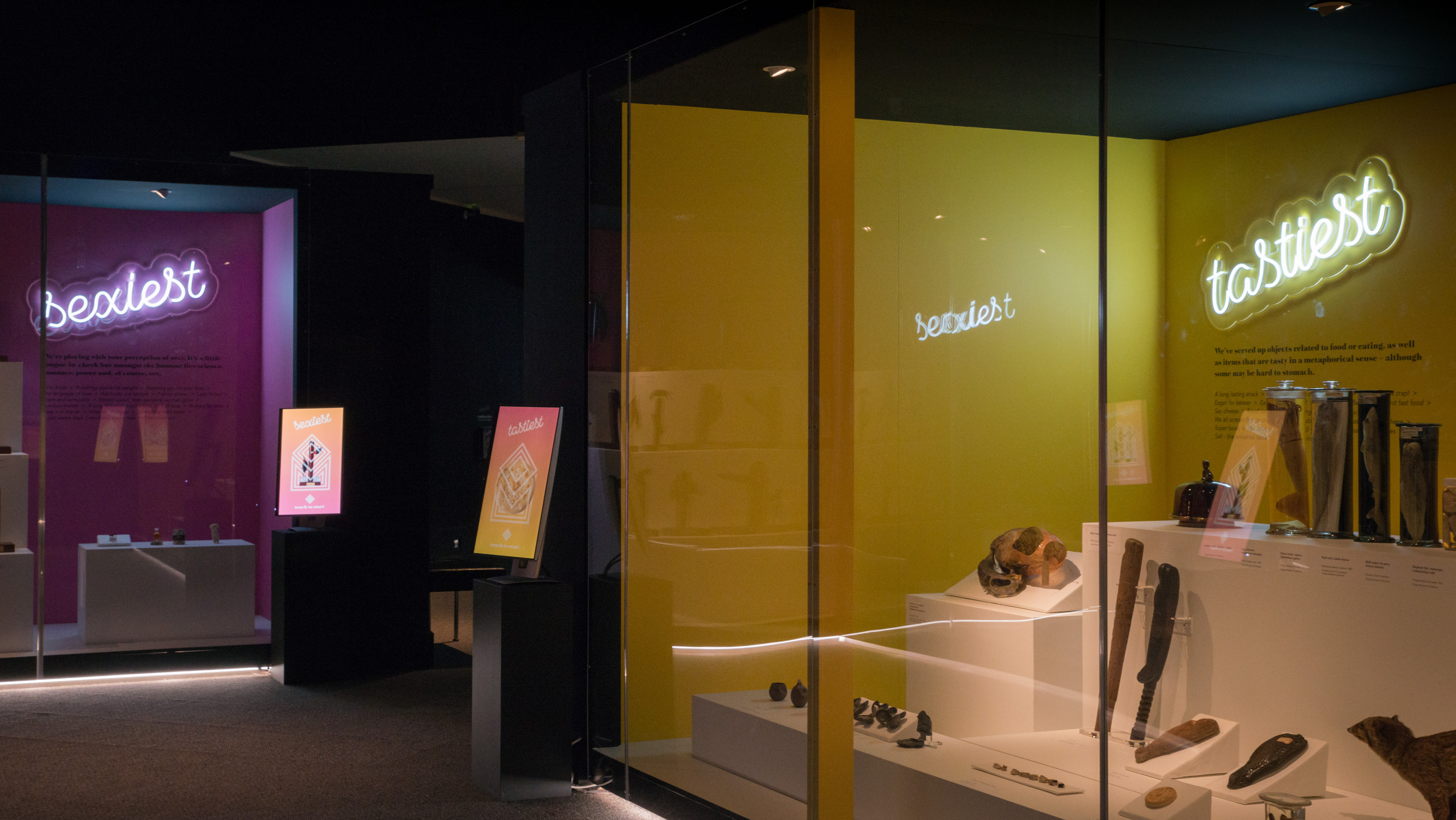 Exhibition Signage, Dunedin