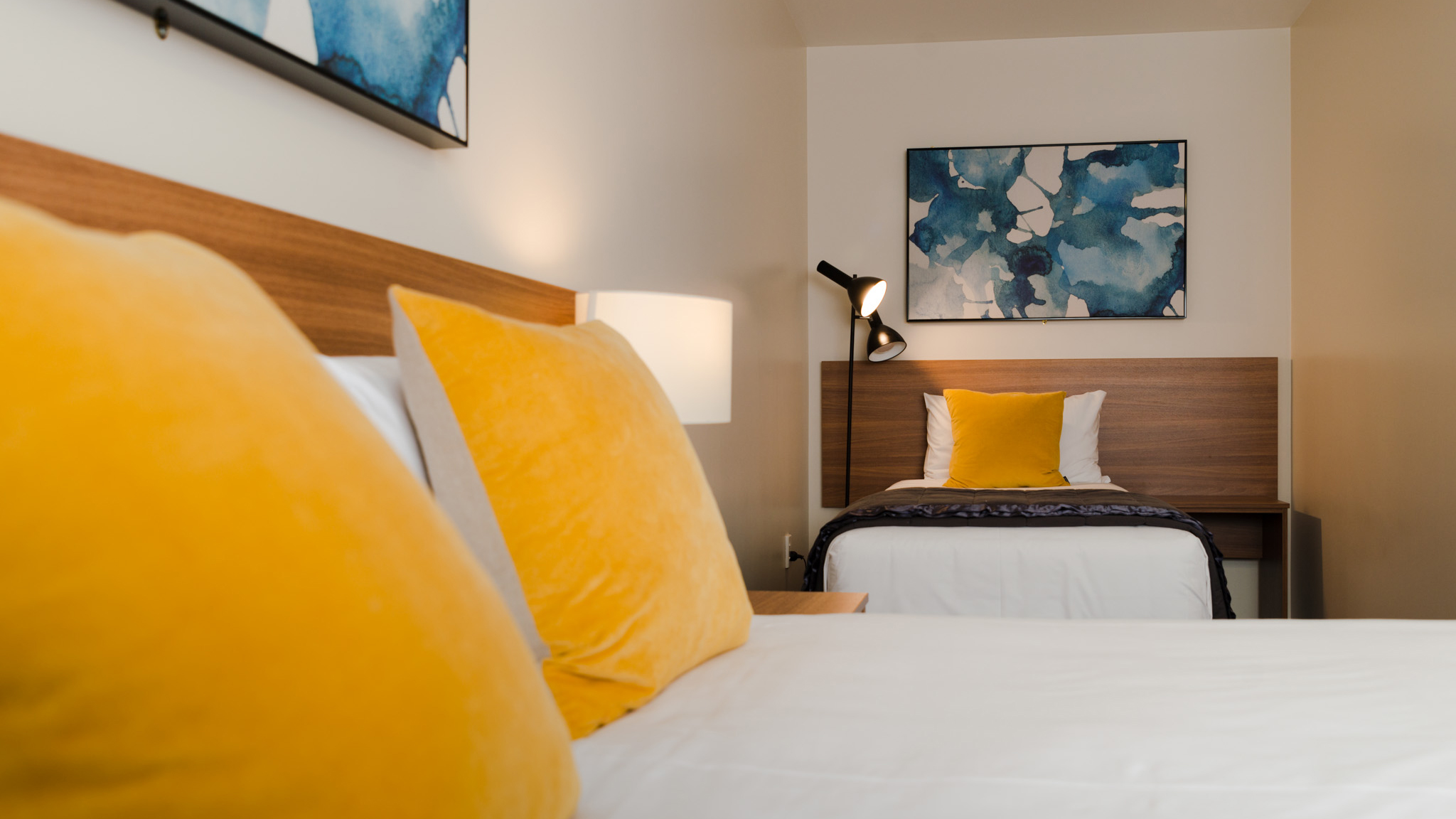 Dunedin Interior Design For Local Apartments