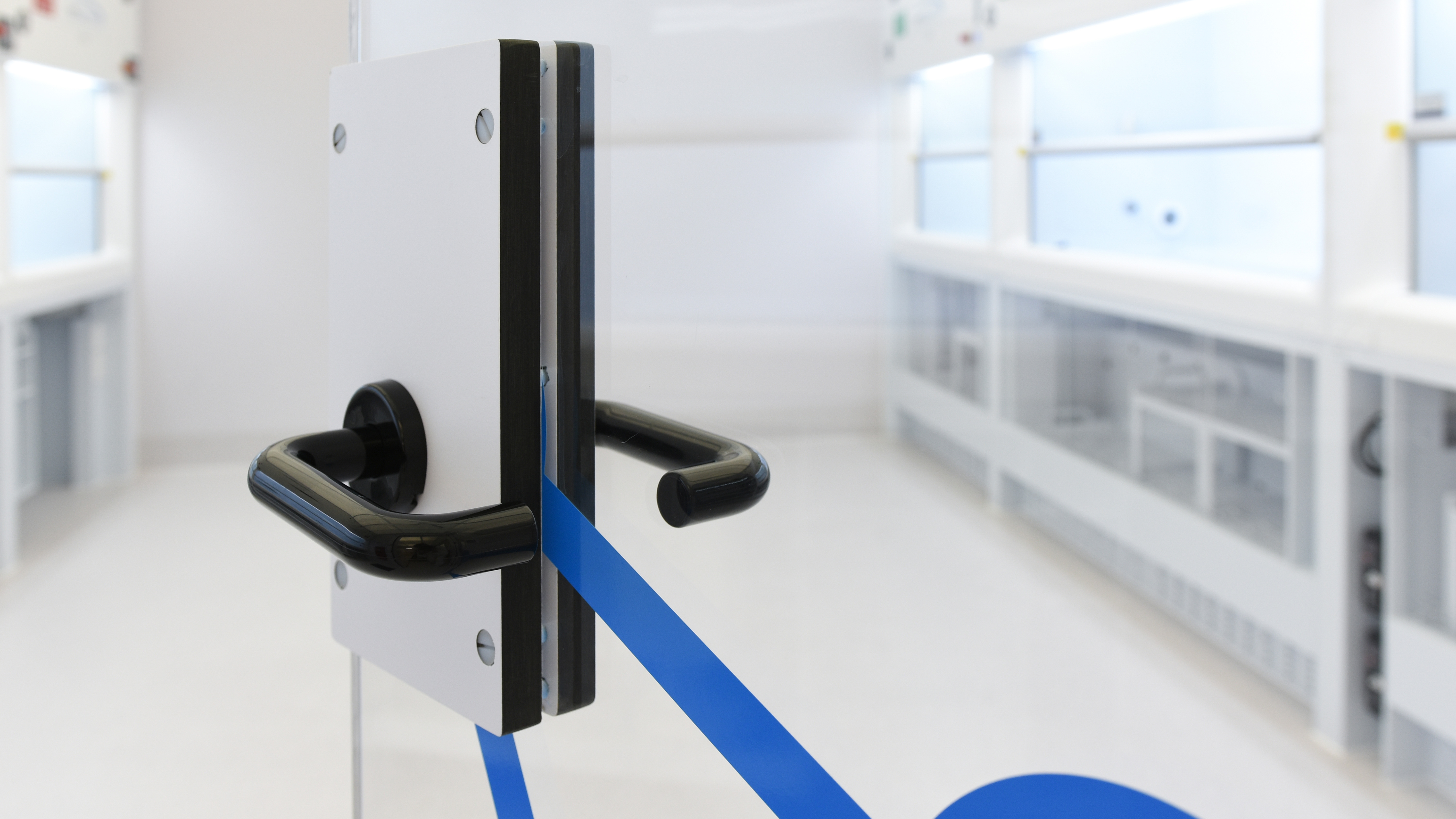 Metal free lab manufactured by Dunedin joinery company, Miller Creative (1)