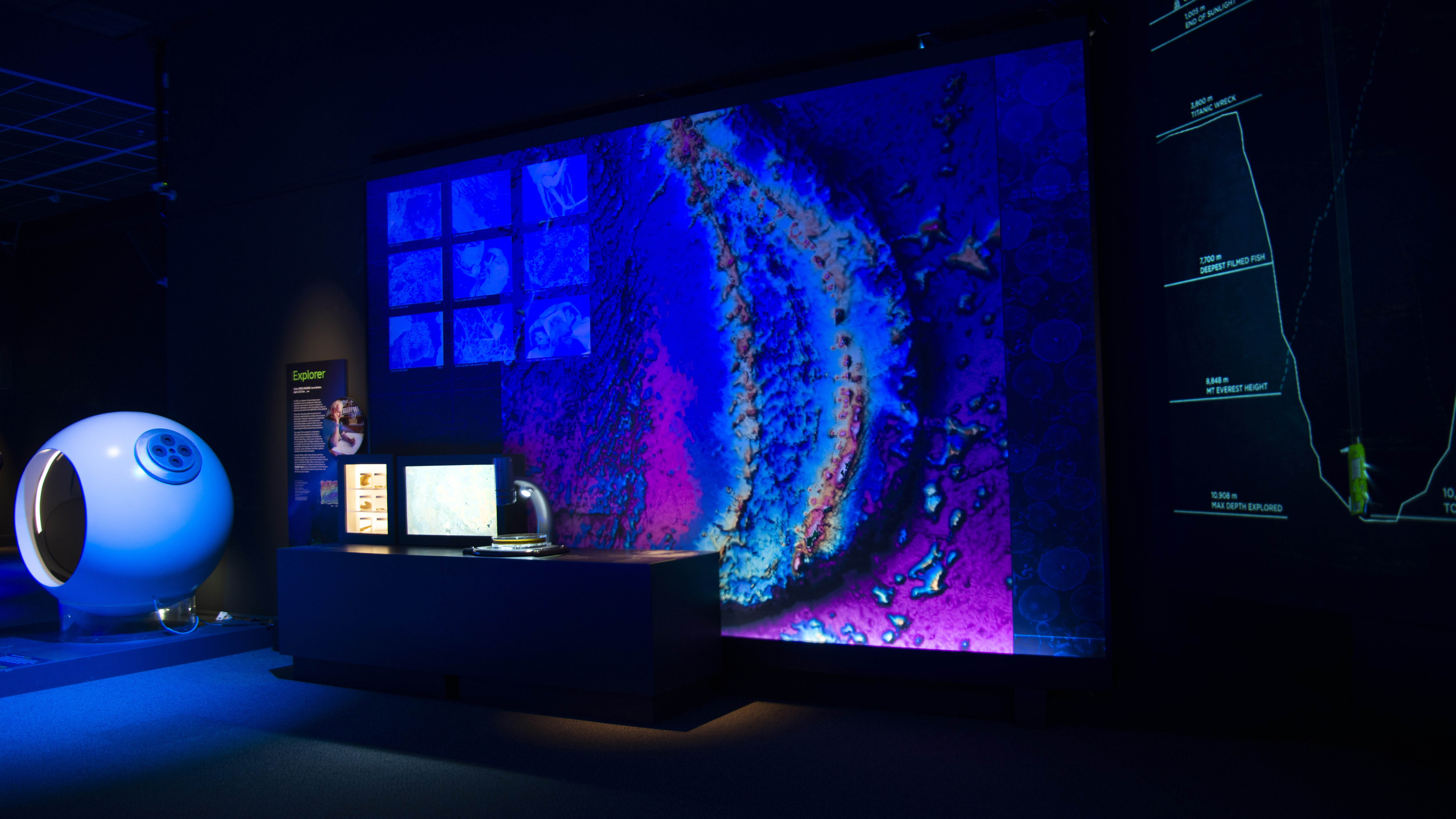 Sign manufacturers complete large scale lightbox for Otago Museum