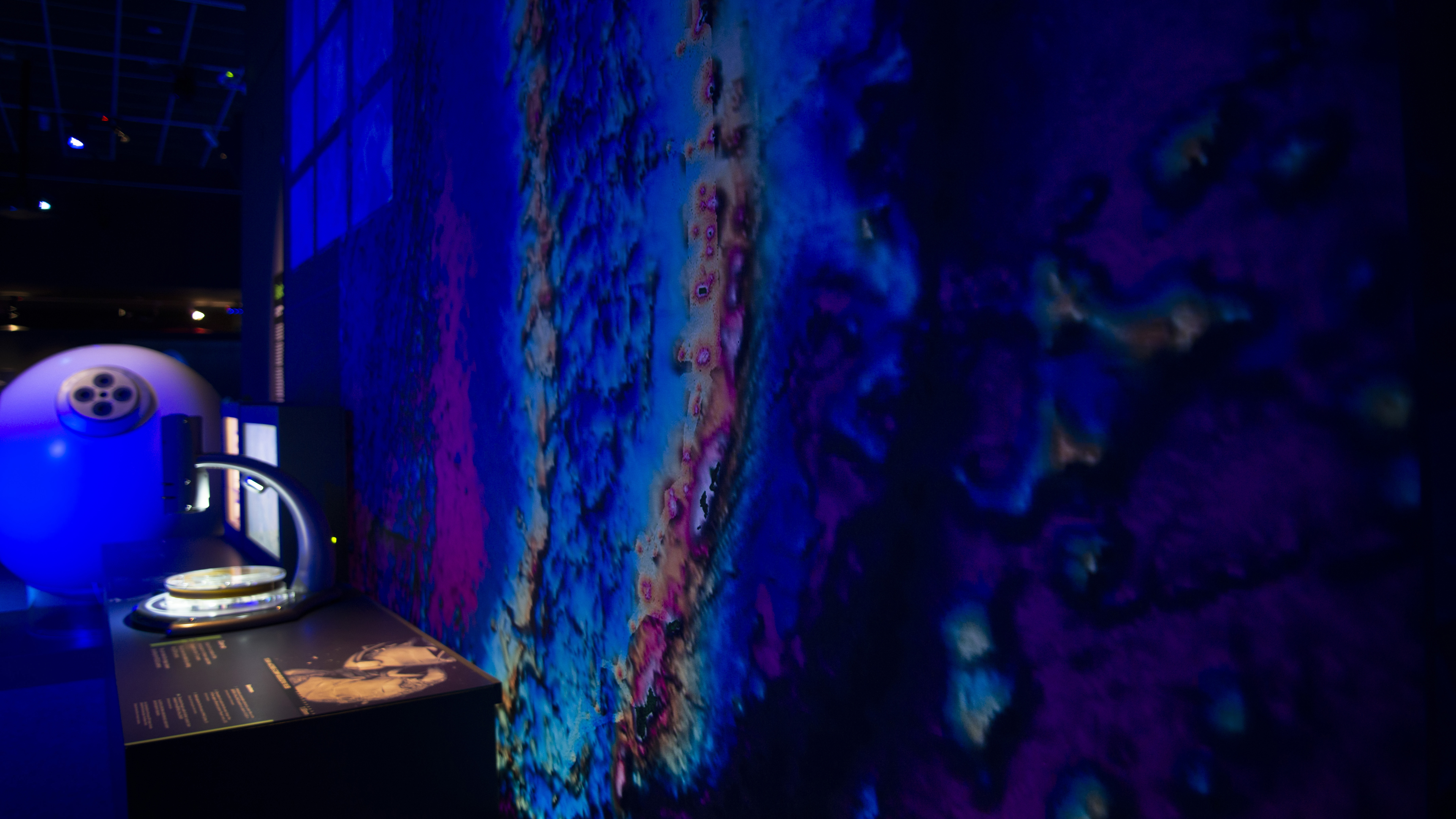 Sign company complete large scale lightbox for Otago Museum